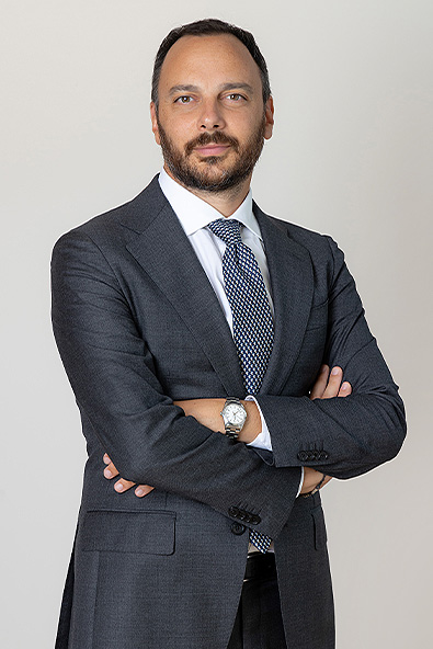massimo niccolai cv