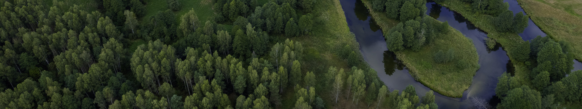 testata interna1920x360 esg4