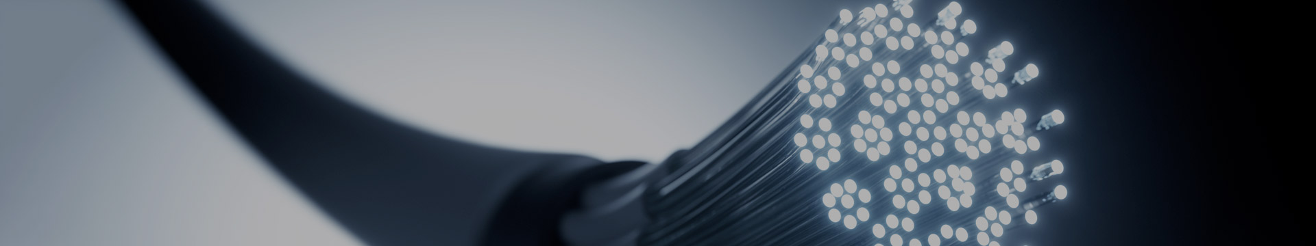 testata 1920x360 tlc debito